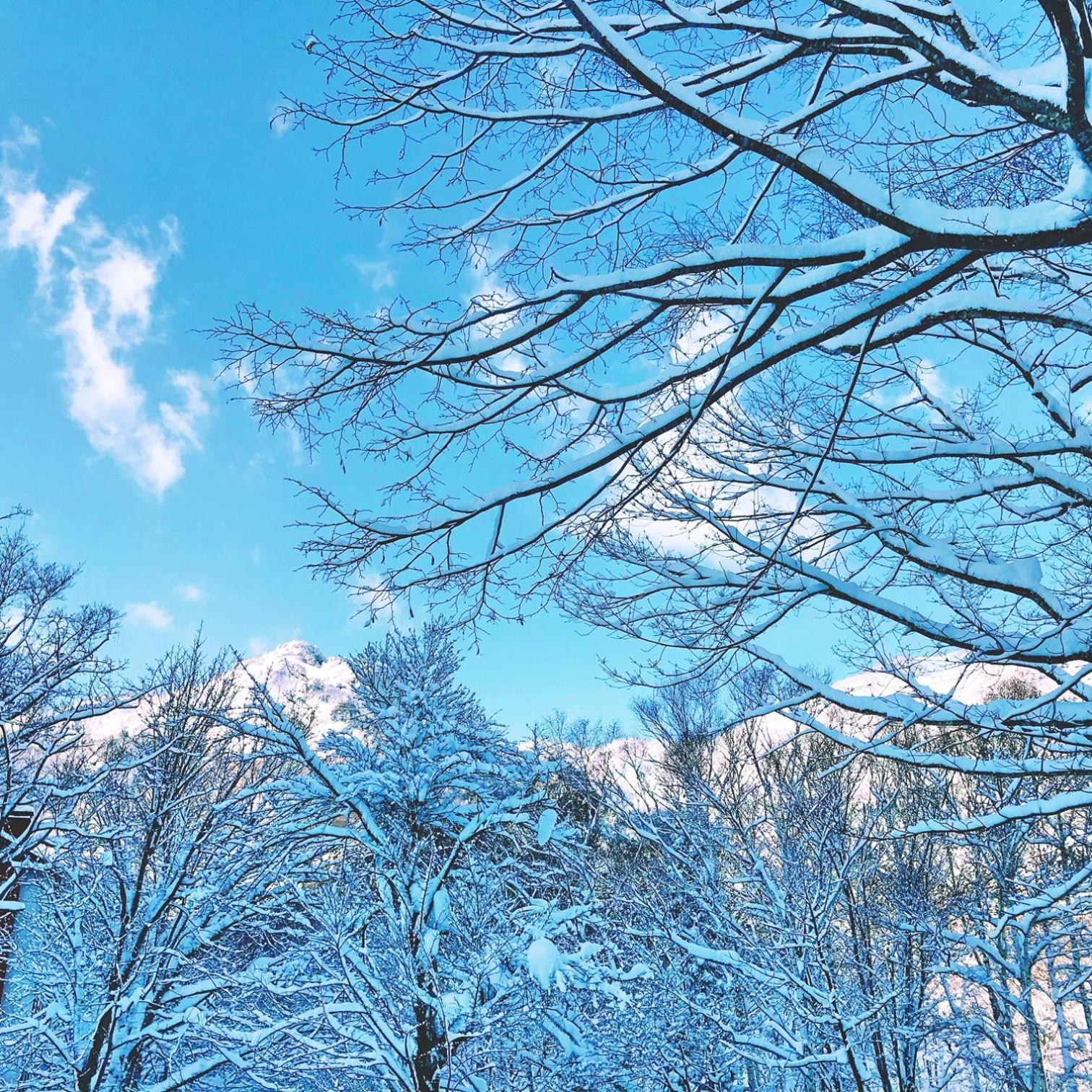 Murmeln Yuzawa  Dış mekan fotoğraf